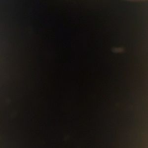 Meet your Posher, Mindy